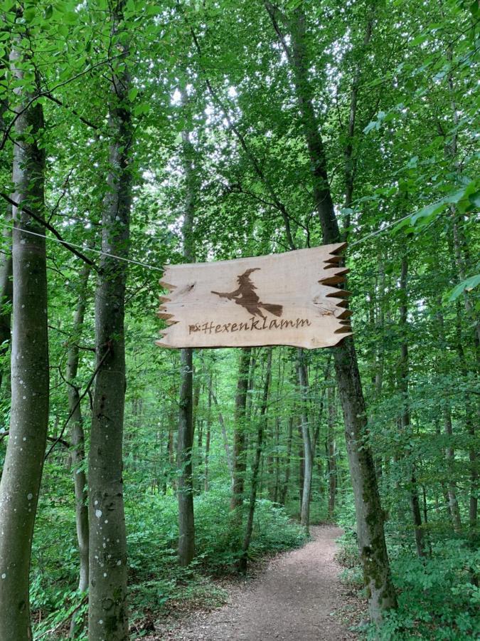 Апартаменты Stierpartment Am Pfaelzer Wald Naehe Outlet Center Zweibruecken Пирмазенс Экстерьер фото
