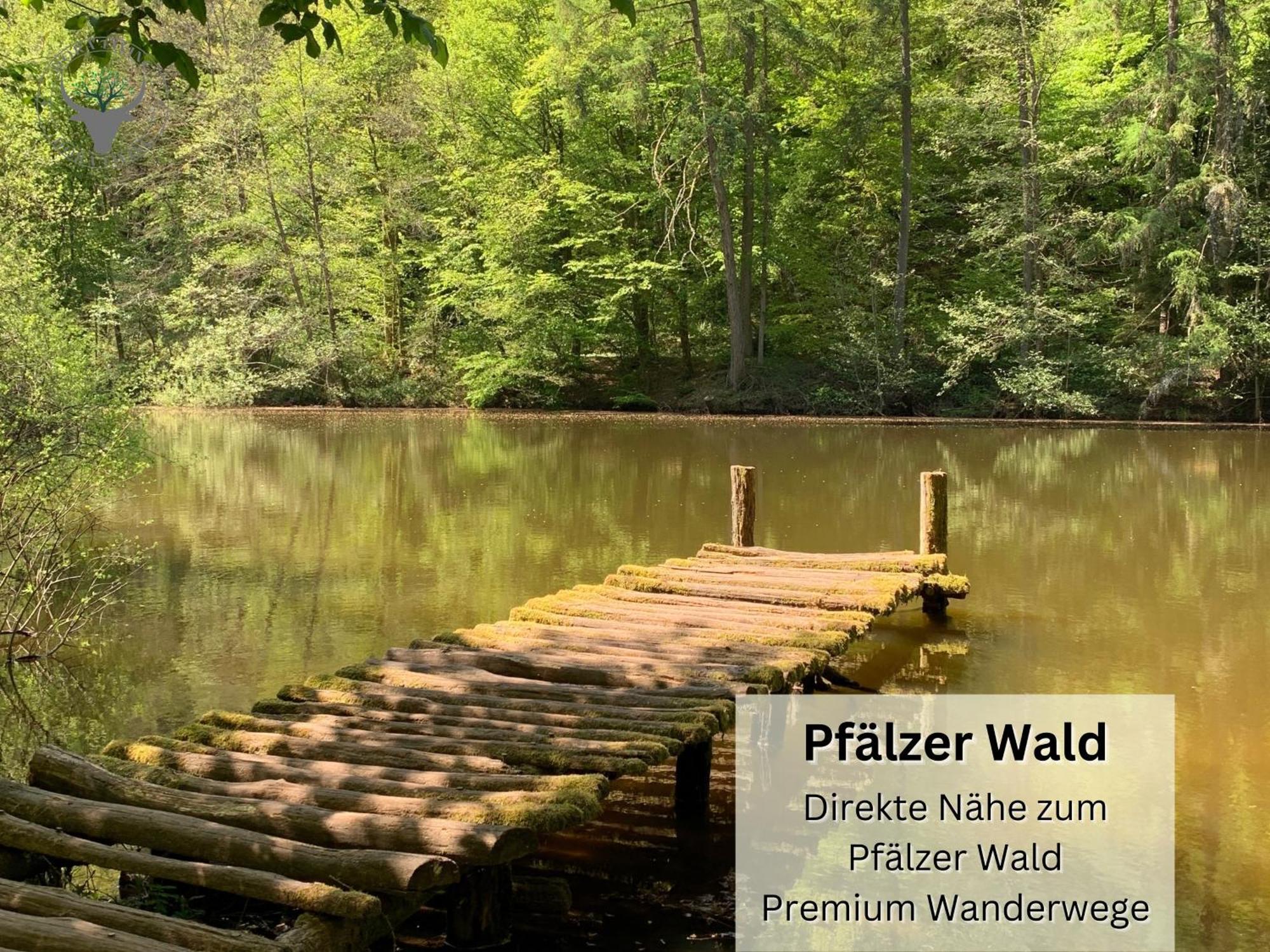 Апартаменты Stierpartment Am Pfaelzer Wald Naehe Outlet Center Zweibruecken Пирмазенс Экстерьер фото