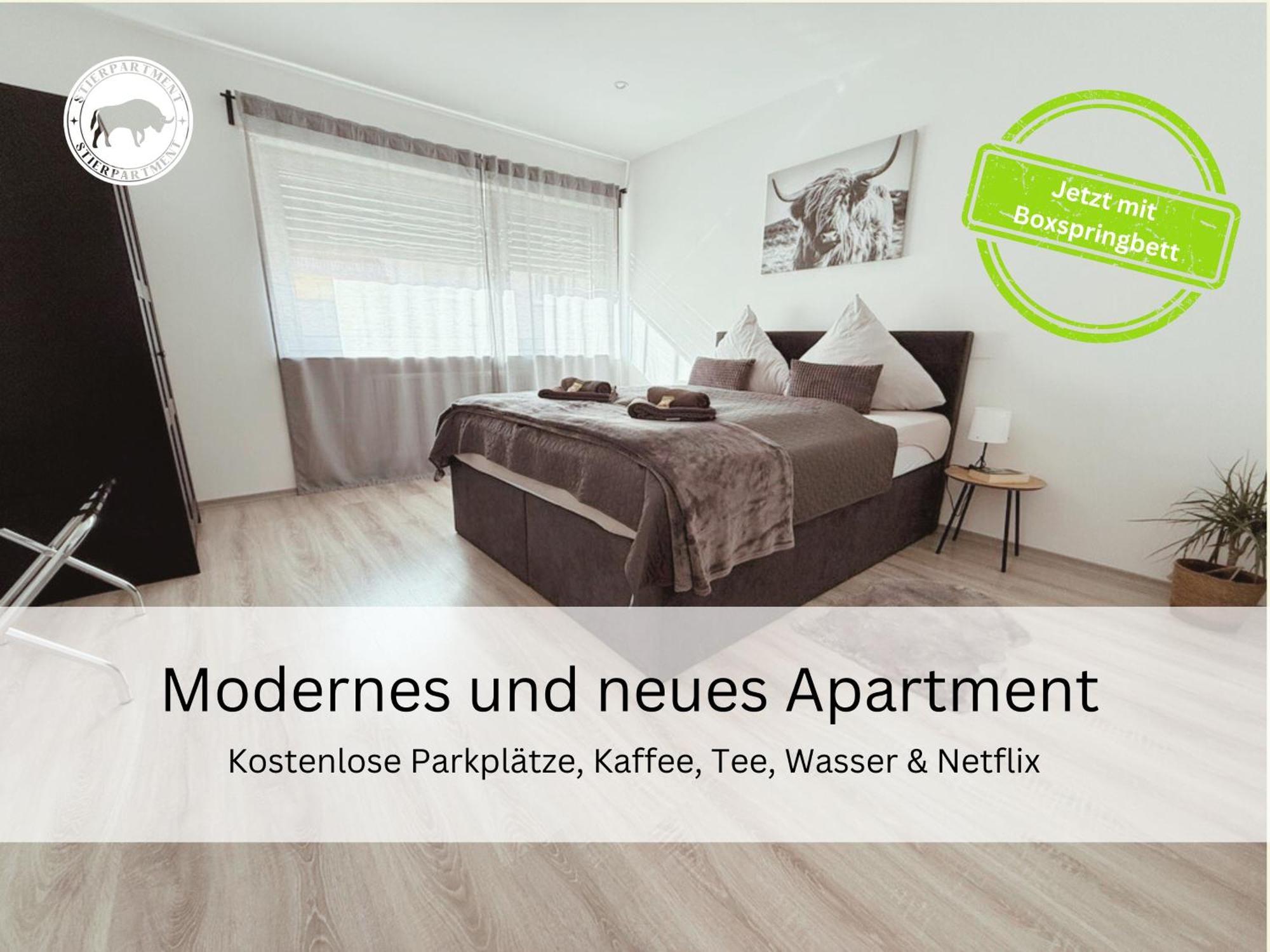 Апартаменты Stierpartment Am Pfaelzer Wald Naehe Outlet Center Zweibruecken Пирмазенс Экстерьер фото